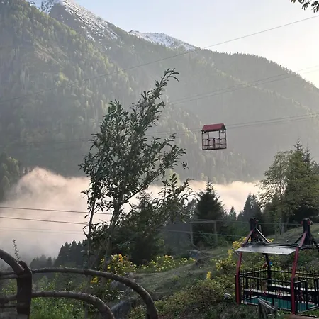 Dervisoglu Dag Evi 住宿加早餐酒店 *